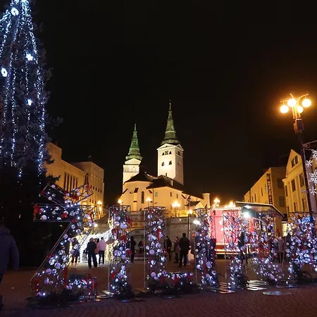 Holleho Apartament Żylina